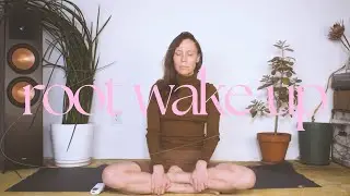 3: Root Wake Up