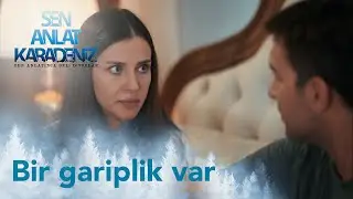Nefes, Ceylan'In kendi kızı olduğundan emin değil |Sen Anlat Karadeniz Yeniden...