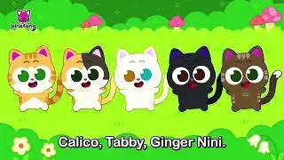 Ninimo's Happy Friends Mix Effects/Sponsored By Klasky Csupo 2001 Effects 