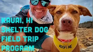 Kauai Hawaii Dog Field Trip Program | Adventures with Rosie the Kauai Shelter Dog!