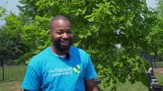 Camden Central Pond Tree Planting