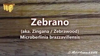Zebrano (microberlinia brazzavillensis) aka zebrawood/zingana