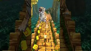 Tiger Attack Me 🤯 | #shorts | #2792