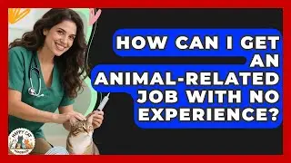 How Can I Get an Animal-Related Job With No Experience? - Animal Care Jobs