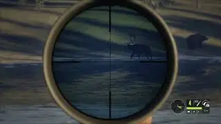 5 medium troll moose.:The hunter call of the wild