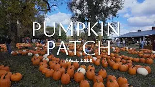 #livingabroad Why you must visit pumpkin patch during fall season