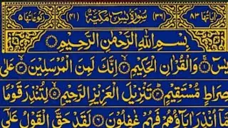 Surah Yasin surah Rahman beautiful quran Recitation surah Rahman surah yaseen Ep_140/tilawat full 