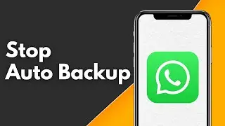 How do I Stop Auto Backup in WhatsApp