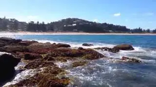 Australia - Sydney - Palm beach - 2014 02 02 - 16:40