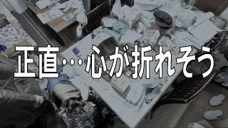 【実家片付け】片付けても元に戻る現実に、正直心が折れかけました…