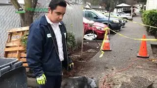 Plumber Kirkland, Redmond, Bellevue |Green House Plumbing and Heating