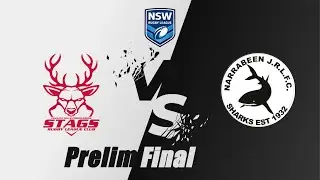 Pennant Hills-Cherrybrook Stags U16 v Narrabeen Sharks U16 - Preliminary Final