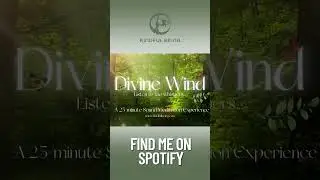 🎵 Divine Wind: 🎧 Tap play and surrender to the wind. #kindfulbeing #energyreset