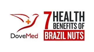 7 Health Benefits Of Brazil Nuts