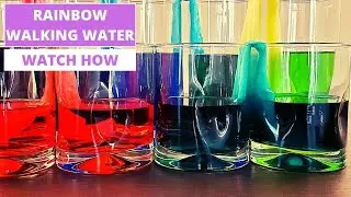 2 Incredible Walking Water Experiments | Rainbow Colors Science Experiment | Easy Peasy DIY For Kids
