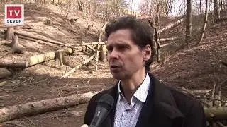Kůrovec v Čertově rokli