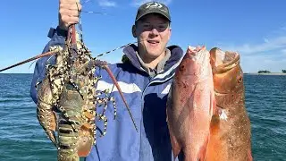 Queensland winter spearfishing, from crayfish to coral trout