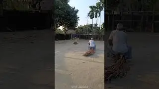 Vfx snake funny video 😵&zwj;💫 #short #snake