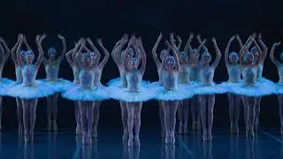 SWAN LAKE | Extended Clip