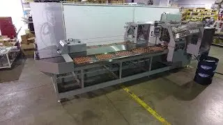 Starview's BSC Series Automatic Carousel Blister Packaging Machines