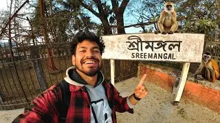 শ্রীমঙ্গলের জঙ্গলে 🇧🇩 |  লাউয়াছড়া জাতীয় উদ্যান | সিতেশ বাবুর চিড়িয়াখানা | Day trip to Sreemangal