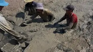 Cách sang hầm cá chình ( ai nuôi cá mình cùng tham khảo nha ) 