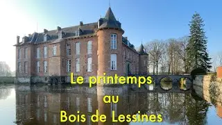 Bois de Lessines 2022