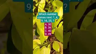 Which number comes next: 1, 4, 9, 16, 25, ?