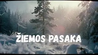 Dainos iš miško – Žiemos pasaka