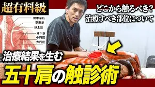【全治療家必見】解剖学からの触診術！五十肩の患者さんに対する「肩」の正しい触り方を徹底解説します！