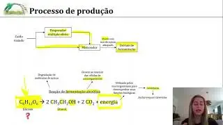 Processo de produção de etanol
