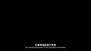 《隔离之中的希望》 JMA INTERNATIONAL JEWELRY DESIGN COMPETITION 2020