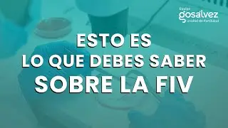 Esto es lo que debes saber sobre el proceso de FIV - Equipo Gosálvez