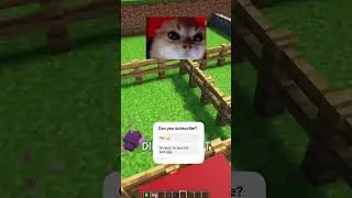 SUBSKRYBUJ, ABY ŻYCZYĆ POWODZENIA PRZEZ 7 LAT! 🍀😅 - #minecraft #śmieszne #kr&oacute;tkie