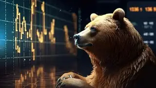 NOT FINANCIAL ADVICE Bear Raid