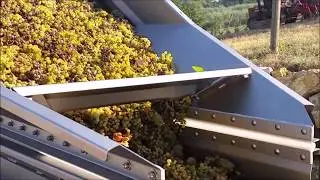MFV TRAILER from MORI LUIGI Wine Equipment