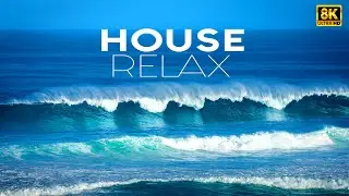 Tea & Tides 🍵🌊 | Calm Coastal Chill House | Musically Hub