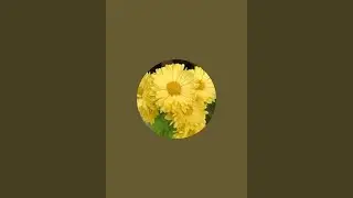 Nature and animals lover is live#views kese badhaye#channel ko grow kesekare#subscriber kese badhaye