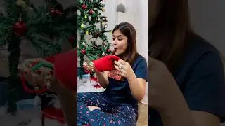 Mini Vlog Day 725 | Christmas Vlog🎅🏻🎄 #chanrav #minivlog