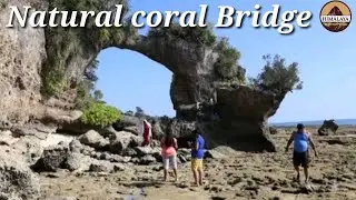 Natural Coral Bridge in Howrah Bridge at Neil Island // Shaheed Dweep.