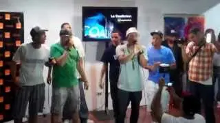 la coalicion live los 7 magnificos