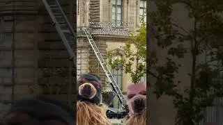 El Gran robo de Louvre 💎 #louvre #heist #paris #humor #tiktok  #museo