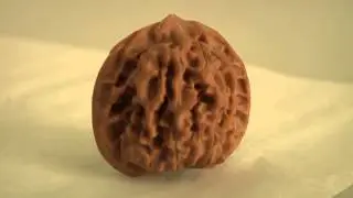 antique walnut*collection walnut