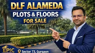 DLF Alameda Sector 73 Gurgaon | Luxury Plots & Floors | DLF Alameda Tour | #ytshorts #shorts