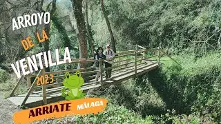 Arroyo de la Ventilla. Arriate. 2023