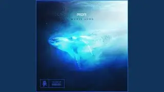 Whale Song