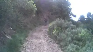 steep trail to Doc Holliday's grave Glenwood Springs,Colorado