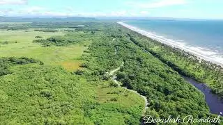 SOE Adventure #3- Nariva Swamp/River & Cocos Bay, Manzanilla!