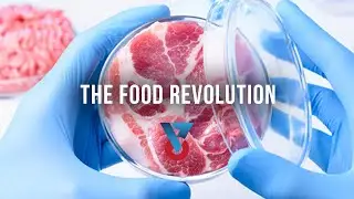 The Food Revolution | Technion and Aleph Farms