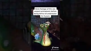 Bobrossmom tik tok compilations!! PART ONE (Submechanophobia/creepyanimatronics)
